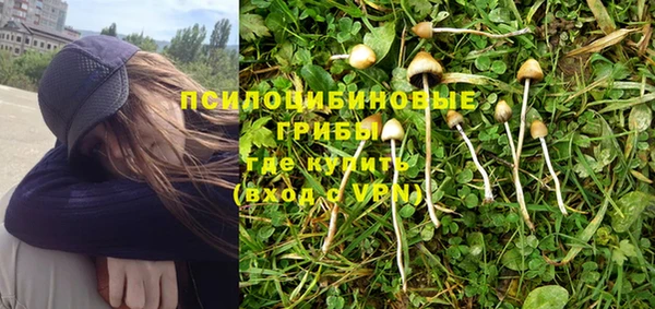 бошки Алексеевка