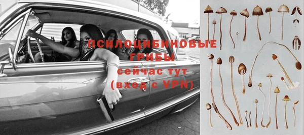прущие крисы Алексин