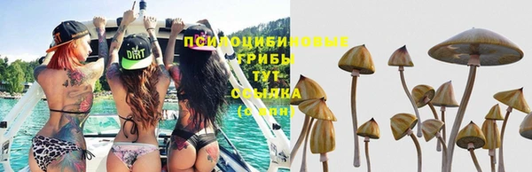 прущие крисы Алексин