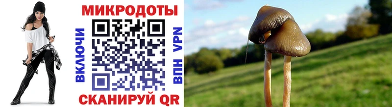 Галлюциногенные грибы ЛСД  Сосновка 