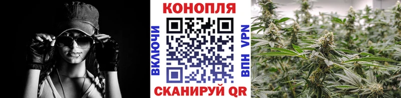 купить наркотики цена  Сосновка  Конопля Bruce Banner 